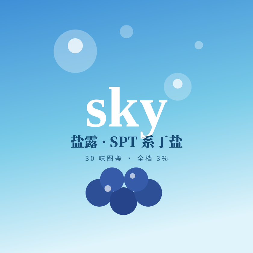 SPT · 盐露 品牌封面